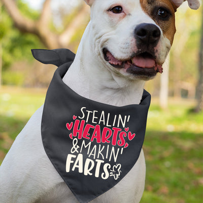Stealin' Hearts and Makin' Farts - Dog Bandana