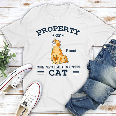 Property Of Cats- Personalized Custom Unisex T-shirt