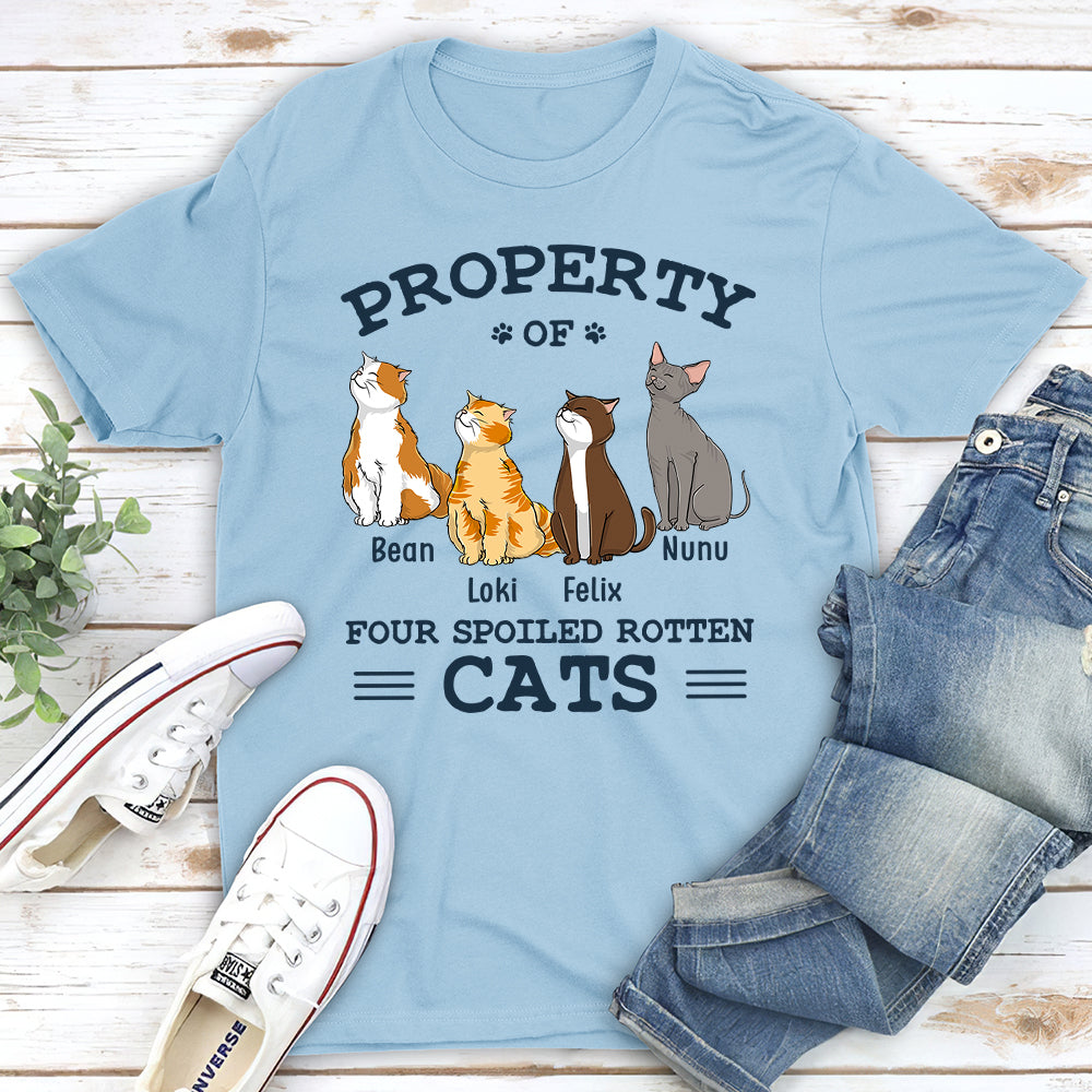 Custom shirts for cats best sale