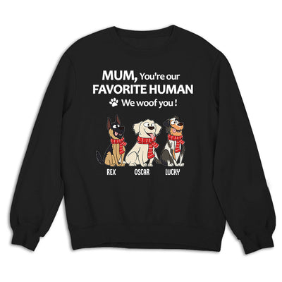 To My Favorite Human - Personalized Custom Sweatshirt
