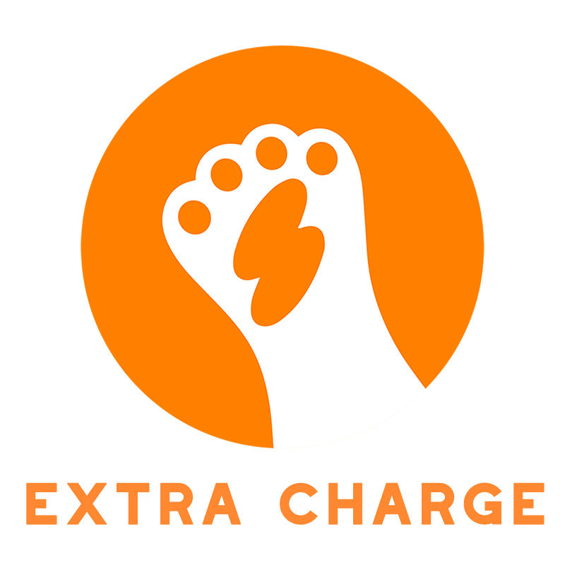 Extra Charge